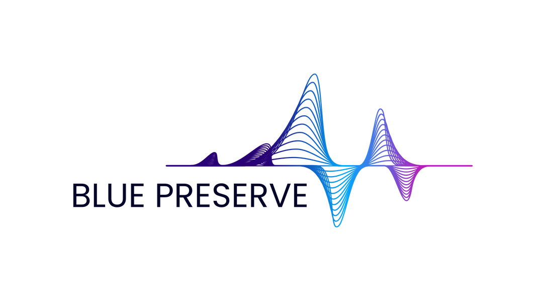 Blue Preserve Business Consulting Logo.  Streamlining Success, one Operation at a time. 